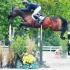 Brownland Farm Autumn Shows